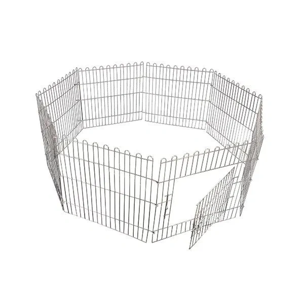پارک سگ