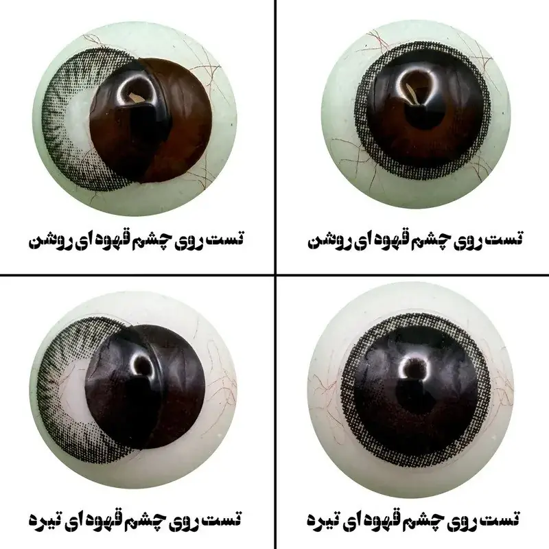 لنز چشم مشکی - تصویر ۳